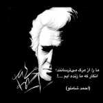 Goshtasb