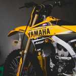 Roohola5591