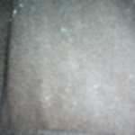 jaminnicep