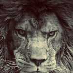 mohsen3030