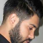 hamed29