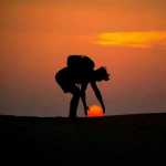 Arash0231