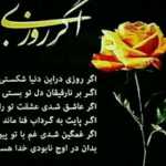 ghach