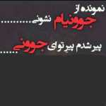sadegh0831