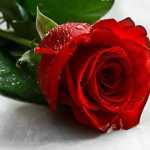 ahmad111