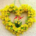 soheyl