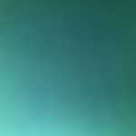 Mohammadmd7695