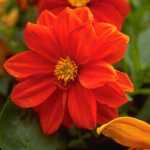 morteza9574