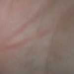 hameed