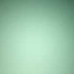 Hamedsh2247