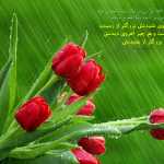 imra2584