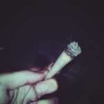 12shayea12