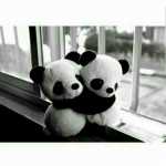 Bahar_555