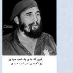 Mohammad0098