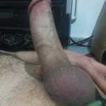 Cock1999