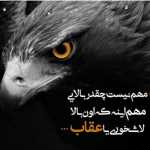 Saeiddljw