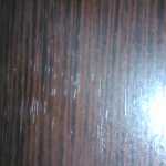 shaamo