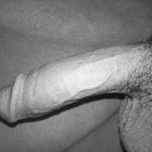 😴آخر شب و سالار خسته شده واقعا رفت آمد توی تونل سخته نه؟