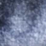 Omid_shomal