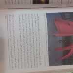 amitis