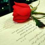 hasanali123