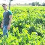 hamed_clever