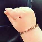 ShAb_nAm