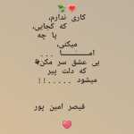 saharmohebi