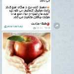 Hamoon2