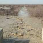 Alidanesh_mand
