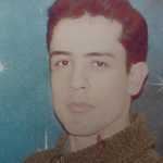 Arash441