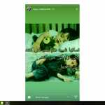 asstit3533