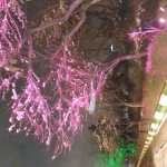 omid3452