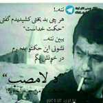 shahrokh20