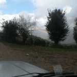 Shahinn66