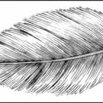Ghani