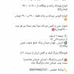 hsarfah1372