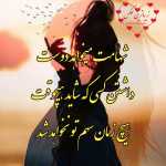 mehrdadkafi