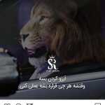 Miladsh666