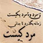 Ali7667