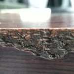 Feri002