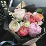 Majid1164