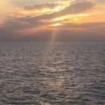 hjlya
