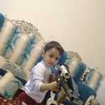 Hasan6262