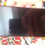 Absdrt5468