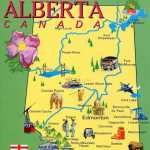 Qmirt