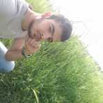 mehdinemani