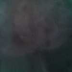 Ramin75