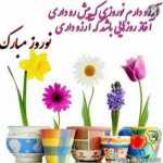 Farhad55
