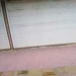 Puria